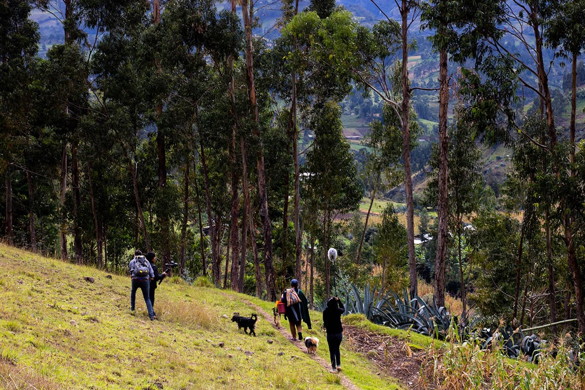 Recorridos en Comunidad