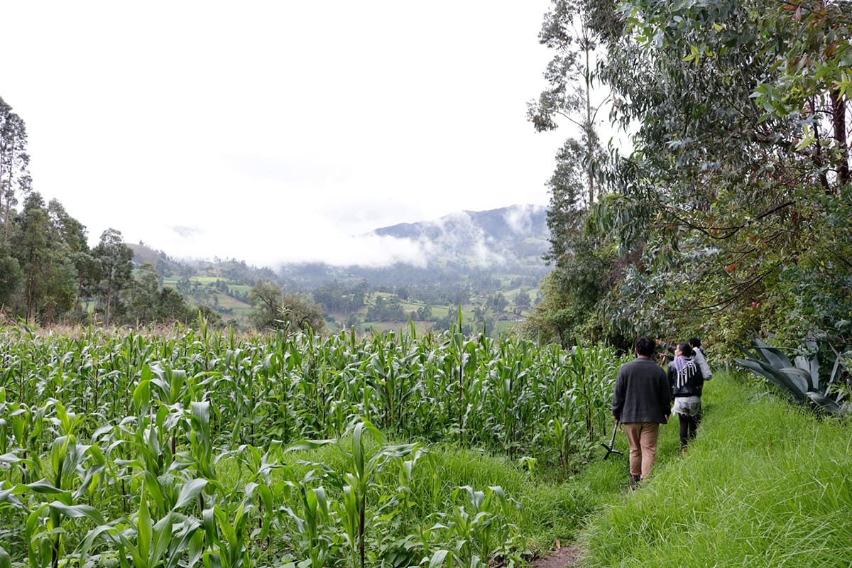 Recorridos en Comunidad